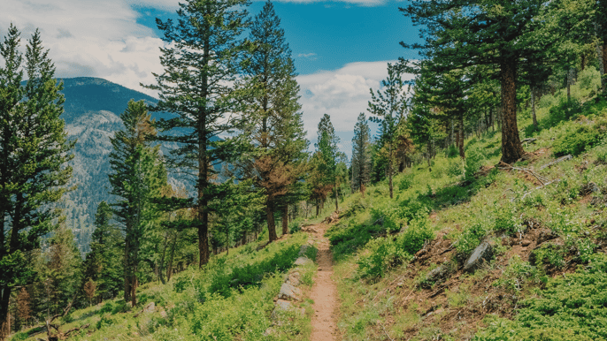 rocky mountain national park hike from denver or boulder