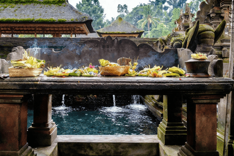 Bali: Serenity Sacred Tirta Empul, Rice Fields & Coffee