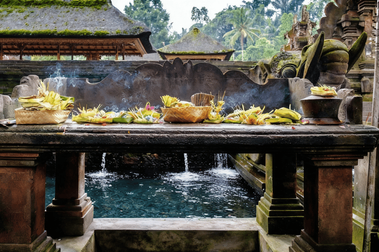 Bali: Serenity Sacred Tirta Empul, Rice Fields & Coffee