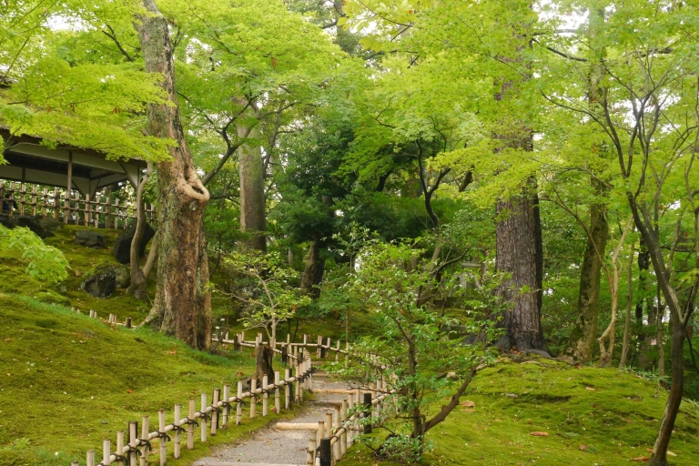 Kyoto: historische Higashiyama-wandeltochtWandelroute