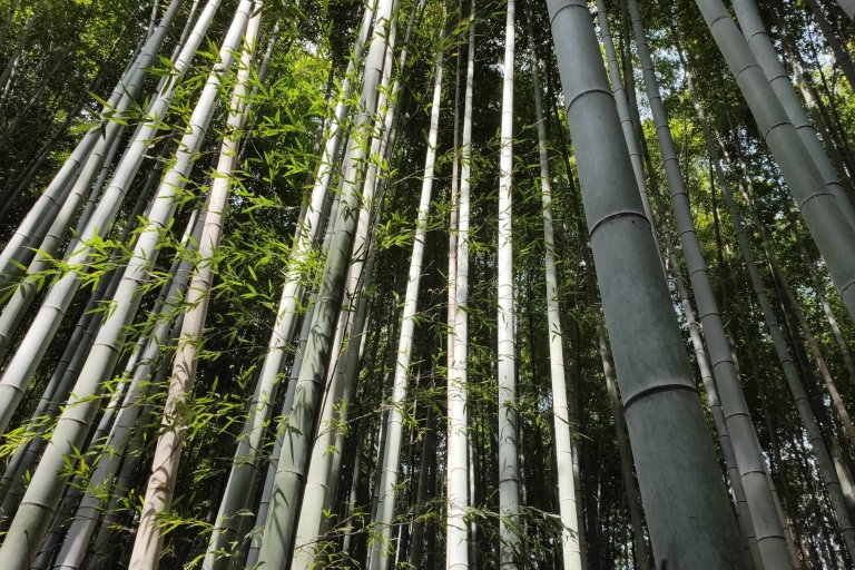 Kyoto: visite à pied historique de HigashiyamaVisite à pied