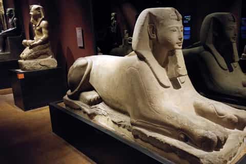 Turin: Guided Egyptian Museum Tour