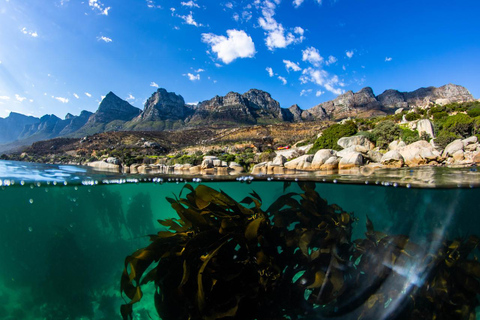 Snorkelen in het Afrikaanse zeebos