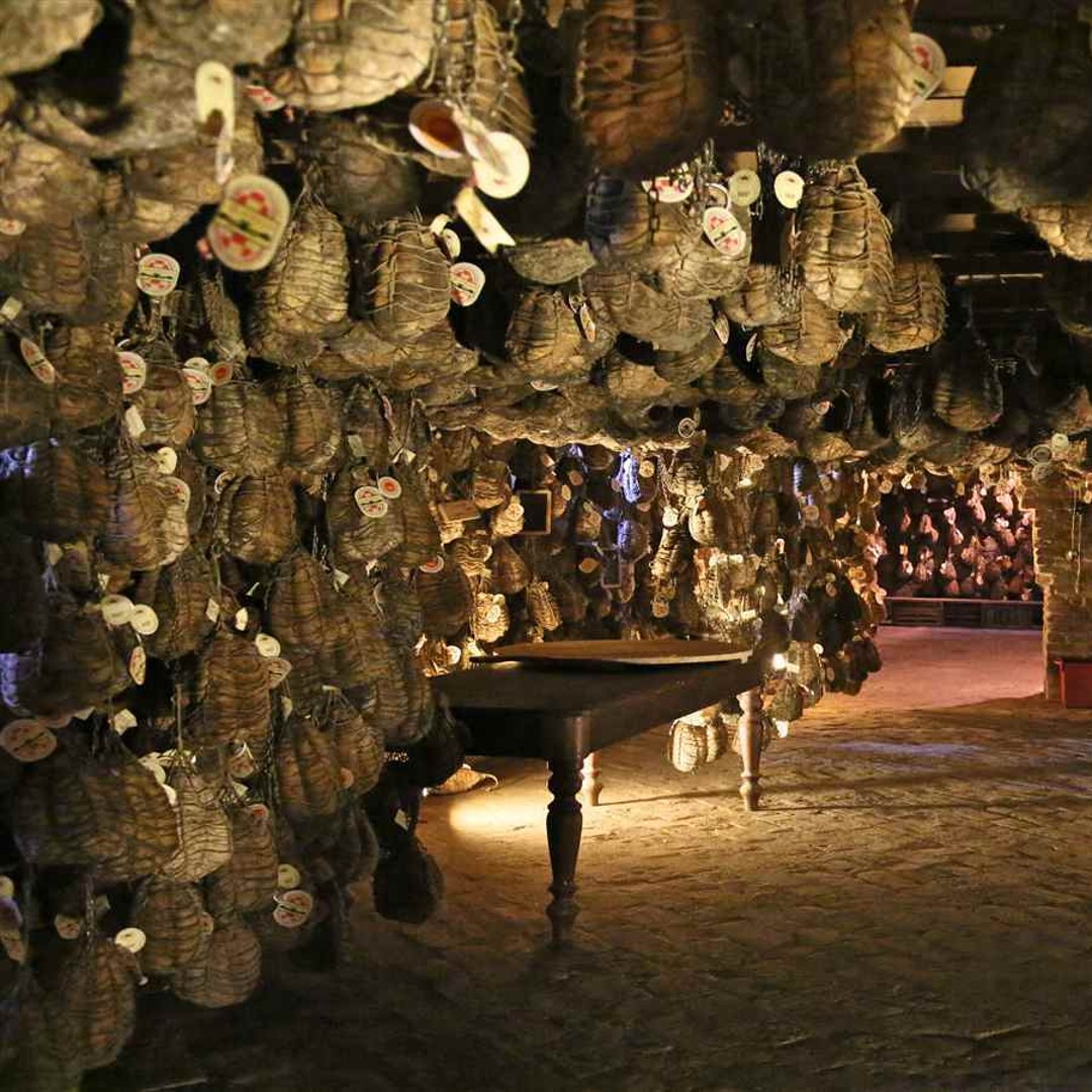 Galerie média
