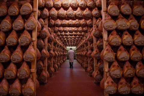 Gastronomic Tour of the Parma Food Valley