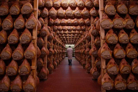 Depuis Bologne ou Modène : Visite gastronomique de Parme avec déjeuner