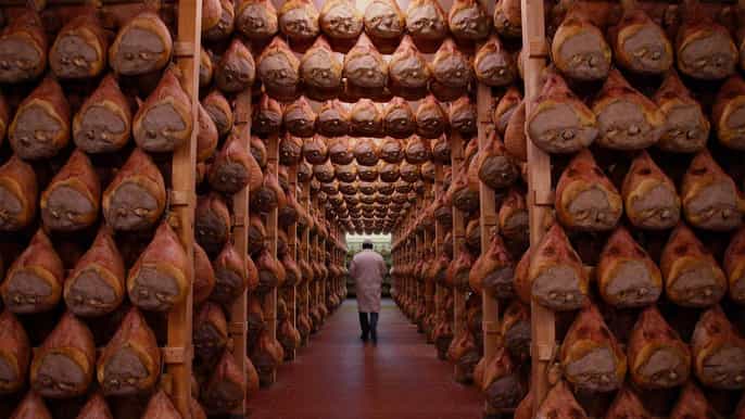 bologna/modena gastronomic tour of the parma food valley