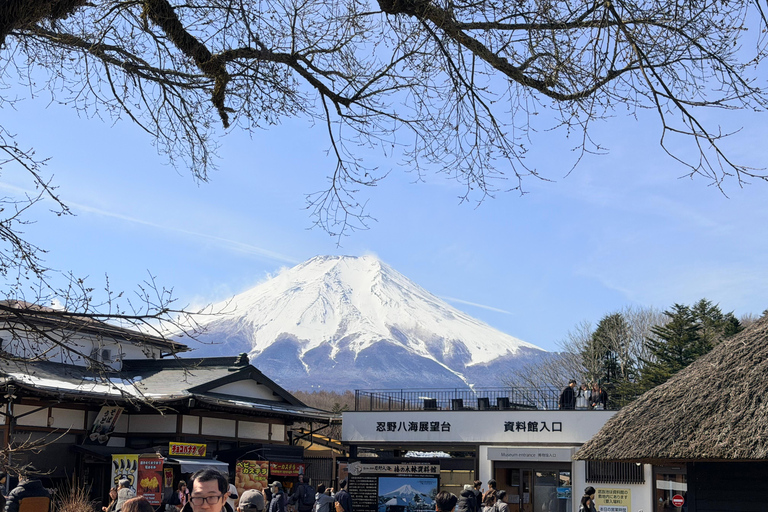 Tokyo: Private Daytrip to Mount Fuji - Fully Customizable Mt Fuji Private Luxury Van Tour (Customizable Experience)