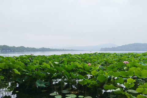 جولة خاصة شاملة كلياً في أبرز معالم مدينة شنغهايAll Inclusive Tour