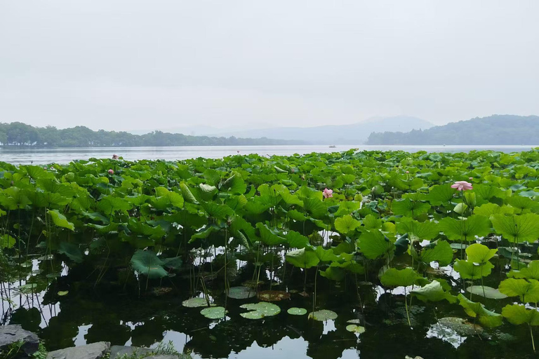 جولة خاصة شاملة كلياً في أبرز معالم مدينة شنغهايAll Inclusive Tour