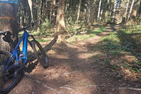 Ride Brașov’s Wild Trails with Daisy & Taste Local Life