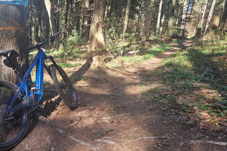 Ride Brașov’s Wild Trails with Daisy & Taste Local Life