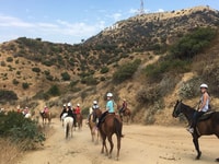 Los Angeles, Mulholland Trail Reiten Tour - Hizvo
