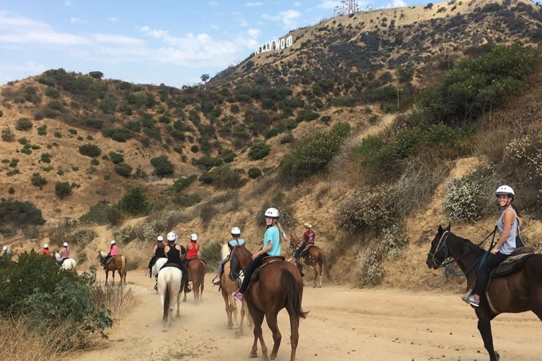 Los Angeles: Mulholland Trail-paardrijtocht van 1 uur1-uur durende Mulholland Trail-dagtour