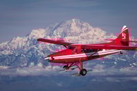 Talkeetna, Guided Tour of Denali National Park By Air - Housity