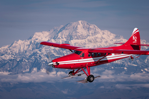 Talkeetna: Guided Tour of Denali National Park By Air Denali Experience Option (1 hr.)