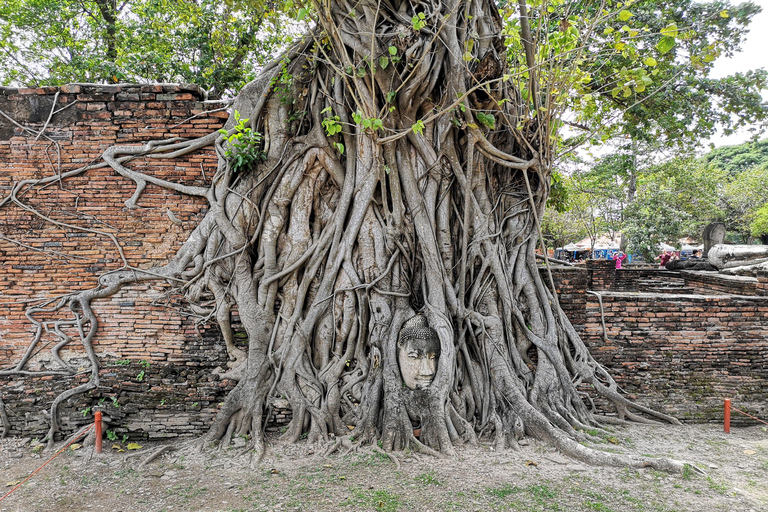 Från Bangkok: Privat tur till Ayutthaya och sommarpalatset