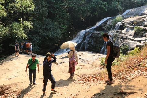 Van Chiang Mai: Doi Inthanon National Park-wandeltocht