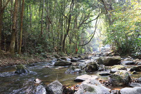 Från Chiang Mai: Vandringstur i nationalparken Doi Inthanon