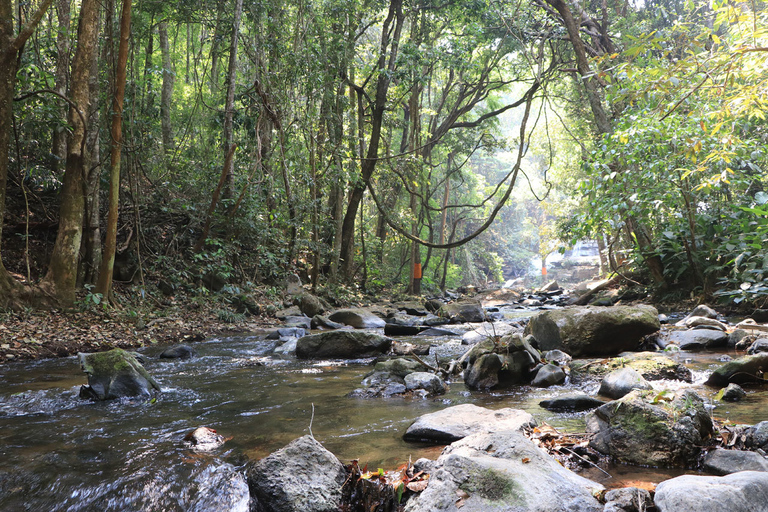 De Chiang Mai: Caminhada pelo Parque Nacional Doi InthanonDe Chiang Mai: Excursão de caminhada no Parque Nacional Doi Inthanon