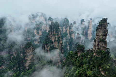 Zhangjiajie: Avatar Forest Park Group Tour or Ticket Big Group Tour with English Guide & Entry Ticket (11-16 ppl)