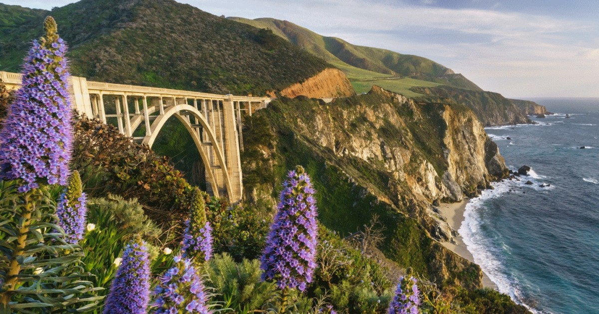 california tours package self drive