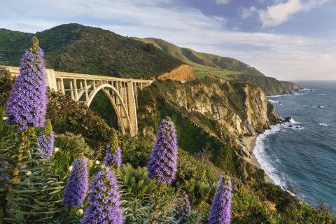 Big Sur California: Pacific Coast Highway Self-Drive Tour
