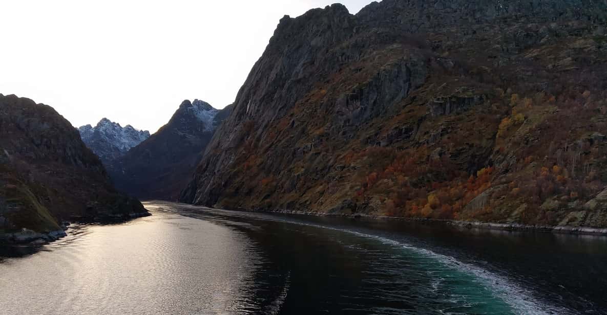 Lofoten Islands: Trollfjord Cruise By Silent Electric Ship