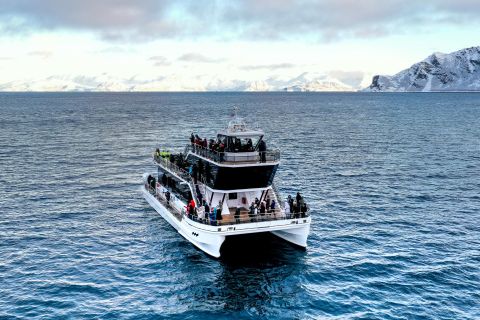 Tromsø: boottocht in fjord met hybride-elektrische catamaran