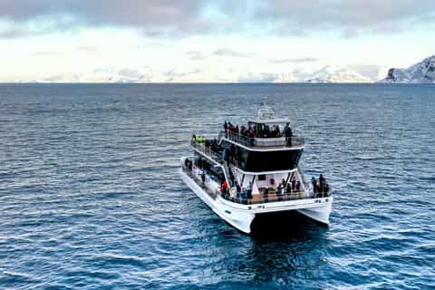 Tromsø: Arktisk fjordcruise med hybrid-elektrisk katamaran