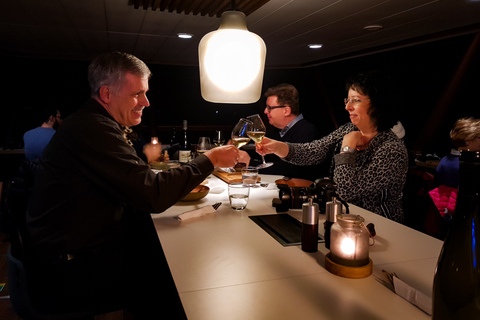 Tromsø : croisière culinaire aurores boréales en catamaran électrique