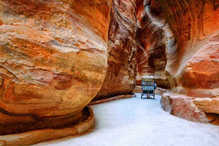 Desde Eilat: viaje guiado de 3 días a Petra y El Cairo con estadía en el hotel