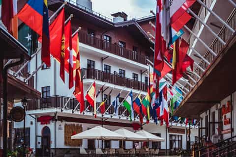 Geneva: United Nations Walking Tour & Ariana Museum