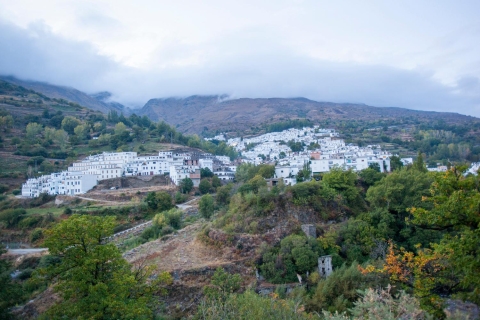 Desde Granada: tour privado por la región de la Alpujarra