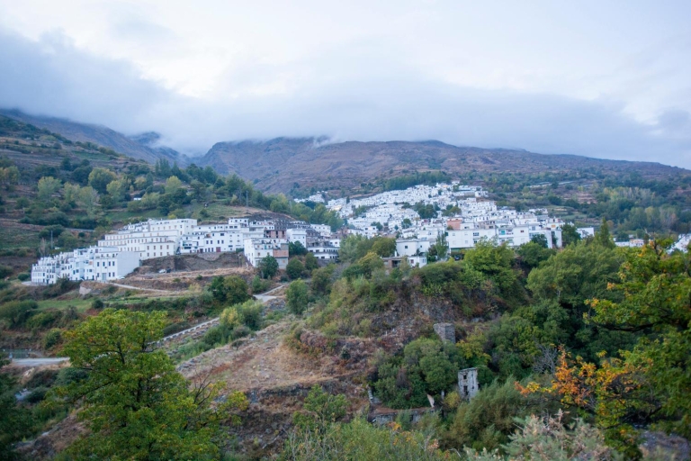 Von Granada aus: Alpujarra Region Private Tour