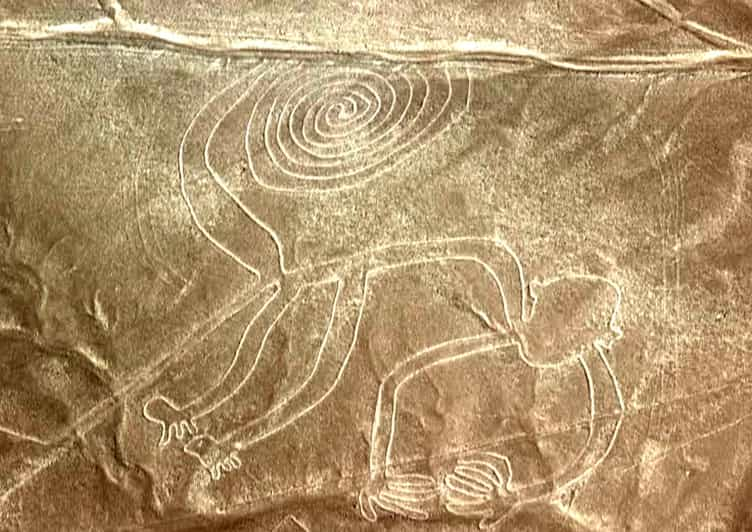 Nazca: Rundflug über Die Nazca-Linien | GetYourGuide