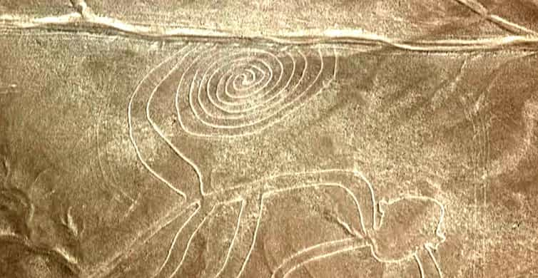 Nazca: Scenic Flight Over The Nazca Lines | GetYourGuide