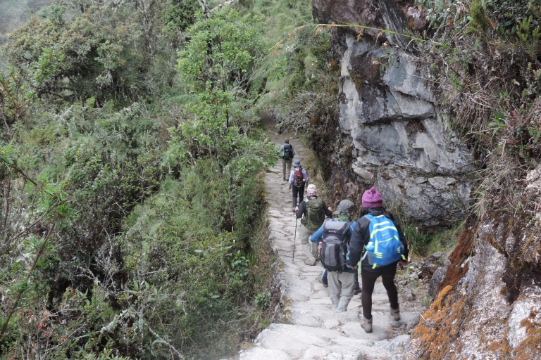 Vanuit Cusco: korte of klassieke Inca Trail TourKlassieke tour (4 dagen/3 nachten)