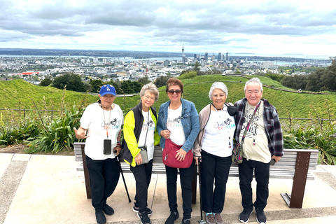 Auckland City Top Spots Half Day Tour(Small Group Tour)