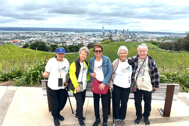 Auckland City Top Spots Wycieczka półdniowa (wycieczka w małej grupie)