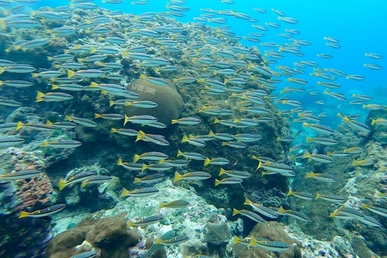 Krabi: Phi Phi Islands Day Trip by Speedboat & Buffet Lunch