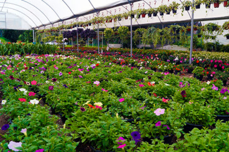 Z Puebla: Cholula i Atlixco Wycieczka prywatna - wszystko wliczone w cenę