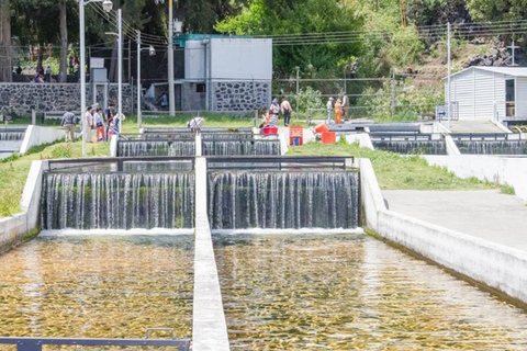 Z Puebla: Cholula i Atlixco Wycieczka prywatna - wszystko wliczone w cenę