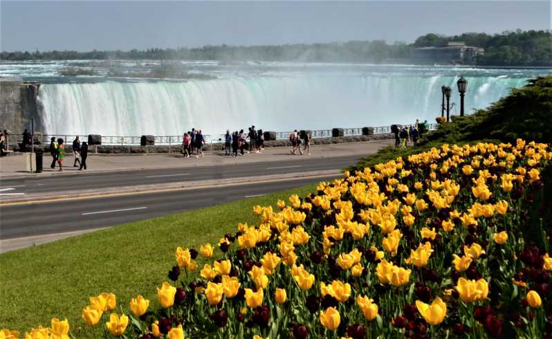 Vanuit Toronto: Dagtocht Niagara Falls