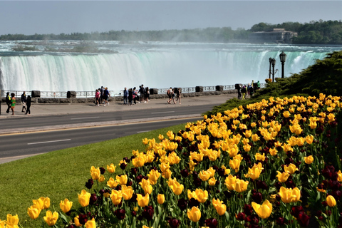 De Toronto : excursion d'une journée aux chutes du Niagara