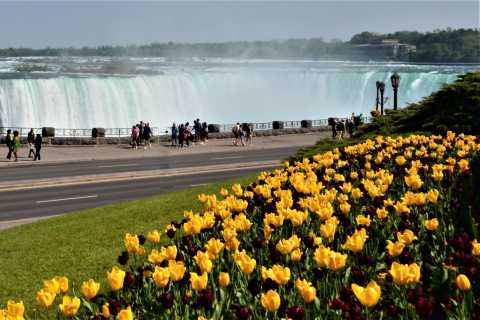 From Toronto: Niagara Falls Day Trip