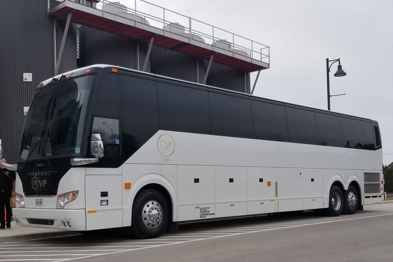 Ab Toronto: Tagesausflug zu den Niagarafällen