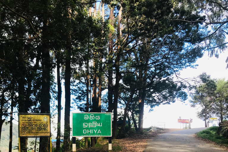 Ella: Horton Plains & Bomburu Ella Waterfall Tour