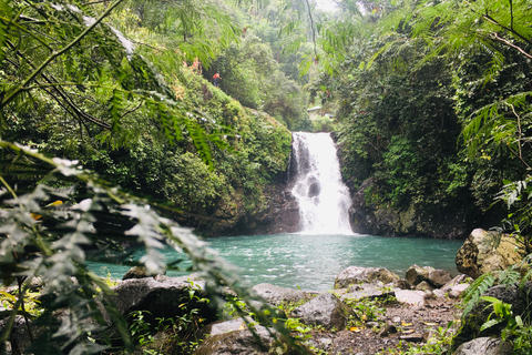 Bali: Aling-Aling Wasserfall-Trekking, Rutschen und Springen