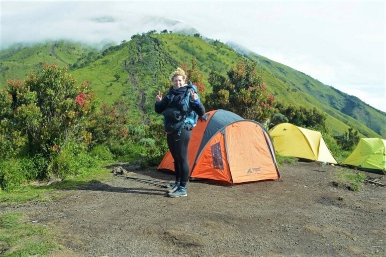 Berg Merbabu Wanderung Tour 2D1N mit Camping